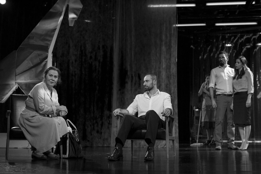 Crítica à peça Elizabeth Costello,encenada por Cristina Carvalhal e apresentada no Teatro Nacional S. João a 26 de Janeiro de 2018.