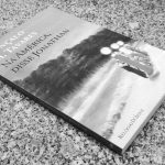 Na América, Disse Jonathan – Gonçalo M. Tavares (Relógio d´Água, 2019)