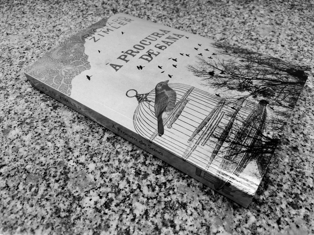Recensão do livro "À Procura de Sana", escrito por Richard Zimler e editado em Portugal com a chancela Porto Editora em 2019 | INTRO