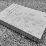 O Infinito num Junco – Irene Vallejo (Bertrand, 2020)