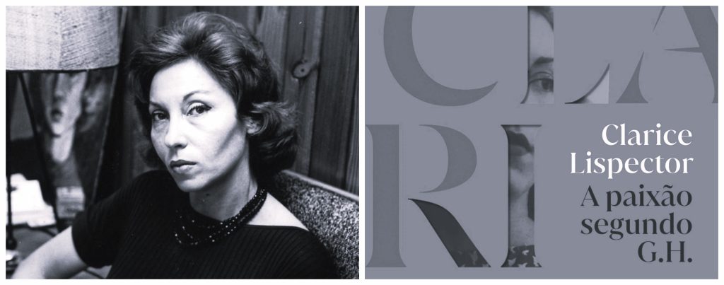 Recensão do clássico A paixão segundo G.H. de Clarice Lispector reeditado em 2025 pela Companhia das Letras Portugal| INTRO