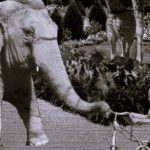 Uma Catastrófica Visita ao Zoo – Joël Dicker (Alfaguara, 2025)