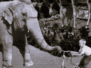 Recensão do livro Uma Catastrófica Visita ao Zoo do suiço Joël Dicker, editado pela Alfaguara em 2025 | INTRO
