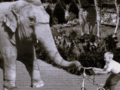 Recensão do livro Uma Catastrófica Visita ao Zoo do suiço Joël Dicker, editado pela Alfaguara em 2025 | INTRO
